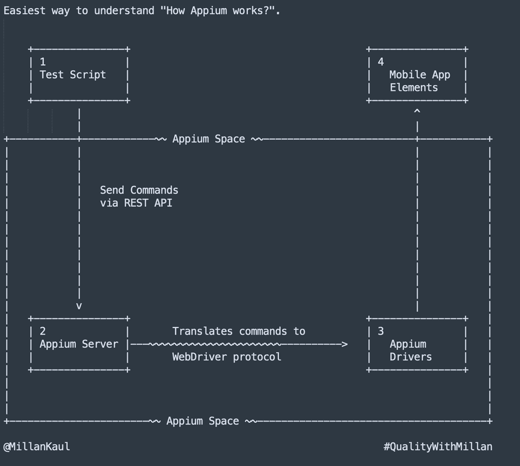 Image showing 4 steps of how Appium works in mobile app automation